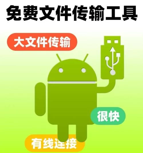 全女格斗在哪下载 安卓苹果双端安装教程