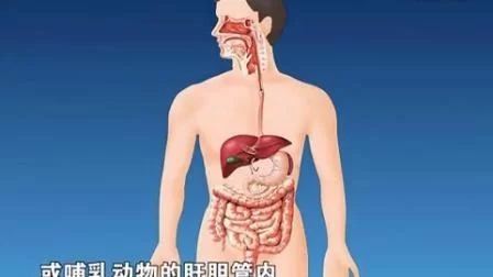 内部寄生虫下载地址大全高清版本随意下