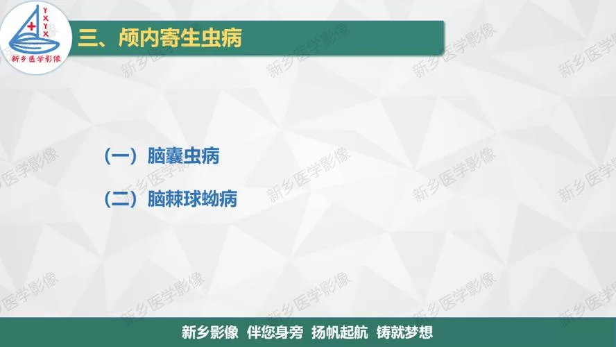 内部寄生虫更新地址常见问题 一键解决指南