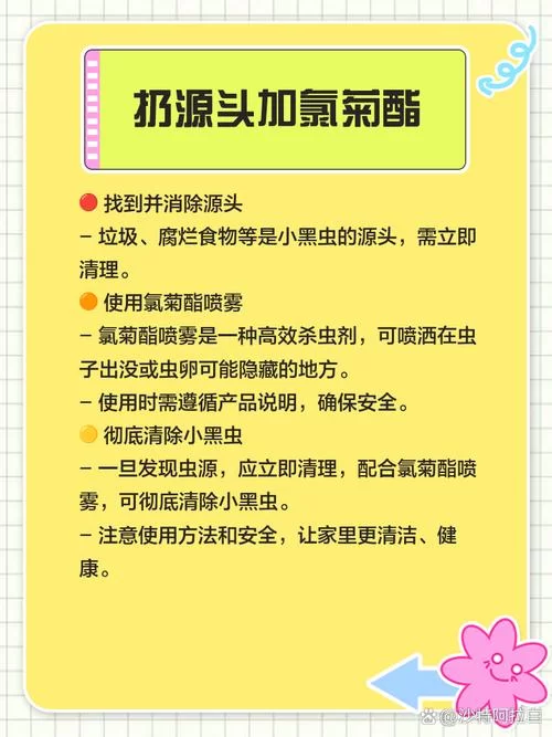 内部寄生虫更新地址常见问题 一键解决指南
