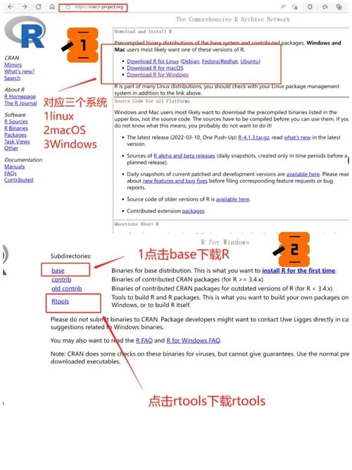 冠军II女郎帝国官方最新版下载安装教程详解