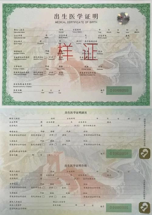 出生证明版本大全 新旧版本区别与使用注意事项
