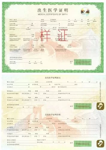 出生证明版本大全 新旧版本区别与使用注意事项
