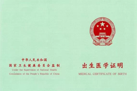 出生证明版本大全 新旧版本区别与使用注意事项