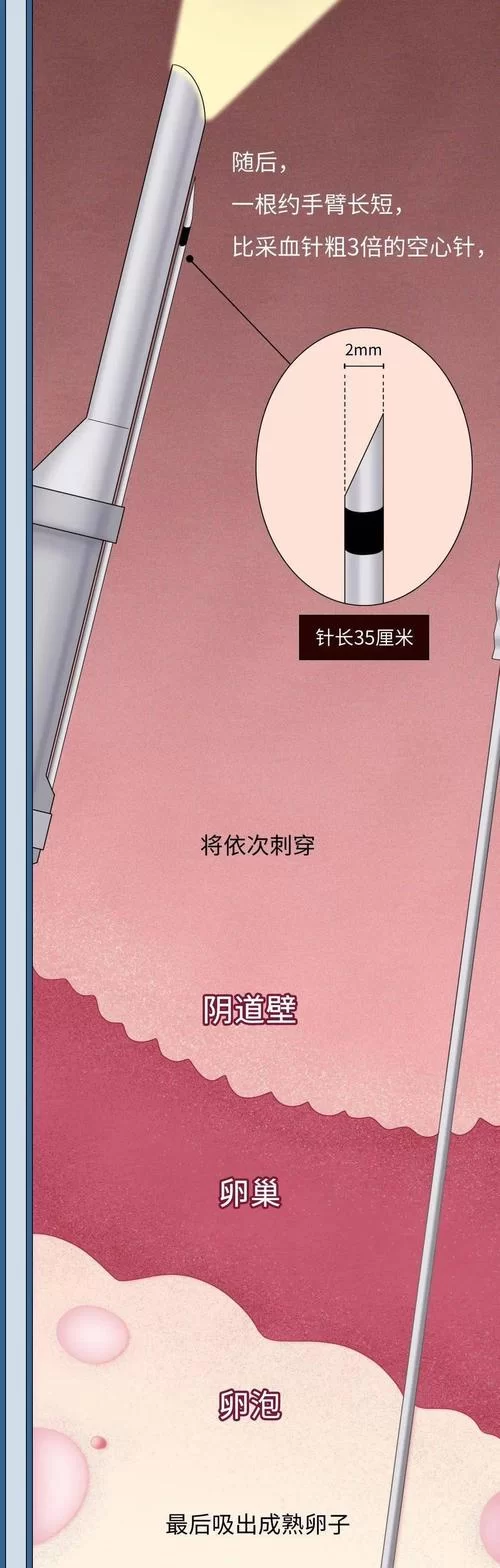 卵之少女汉化版最新更新内容详情 画质提升与系统调整