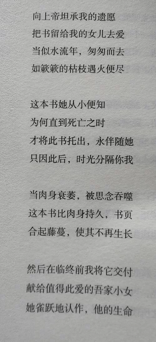 厚颜无耻的十四行诗最新版本是多少 功能更新解析