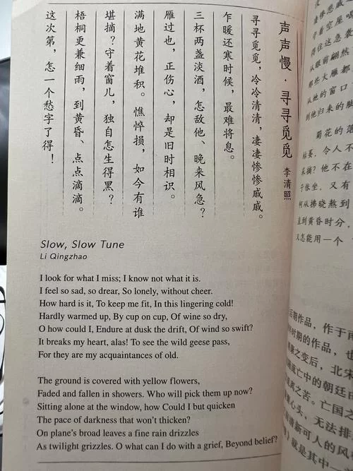 厚颜无耻的十四行诗最新版本是多少 功能更新解析