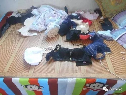 变态房东遇到主播女孩下载地址最新动态与更新信息