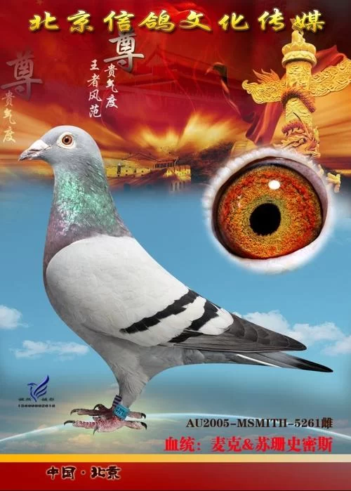 史密斯的血统最新揭秘 原来他的家族背景这么不简单
