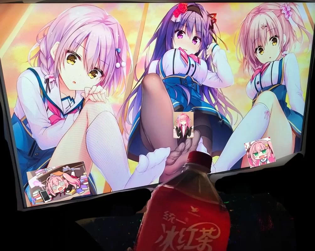 后宫秘密绅士游戏角色排名谁才是真命天女