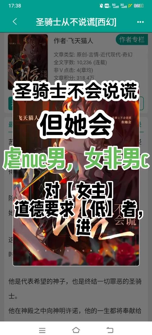 圣骑士大人与魅魔从者最新版本玩家评价与体验分享