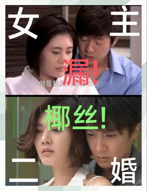 在再婚家庭的奇妙故事游戏官网找到你的第二春