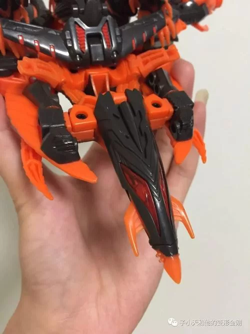 堕落最新评测来了 看看玩家怎么说