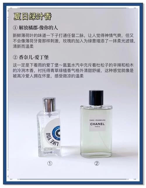 夏日芬芳官方网站热门香水推荐与评测