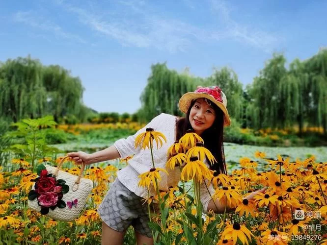 夏日芬芳最新版本有哪些升级功能值得期待