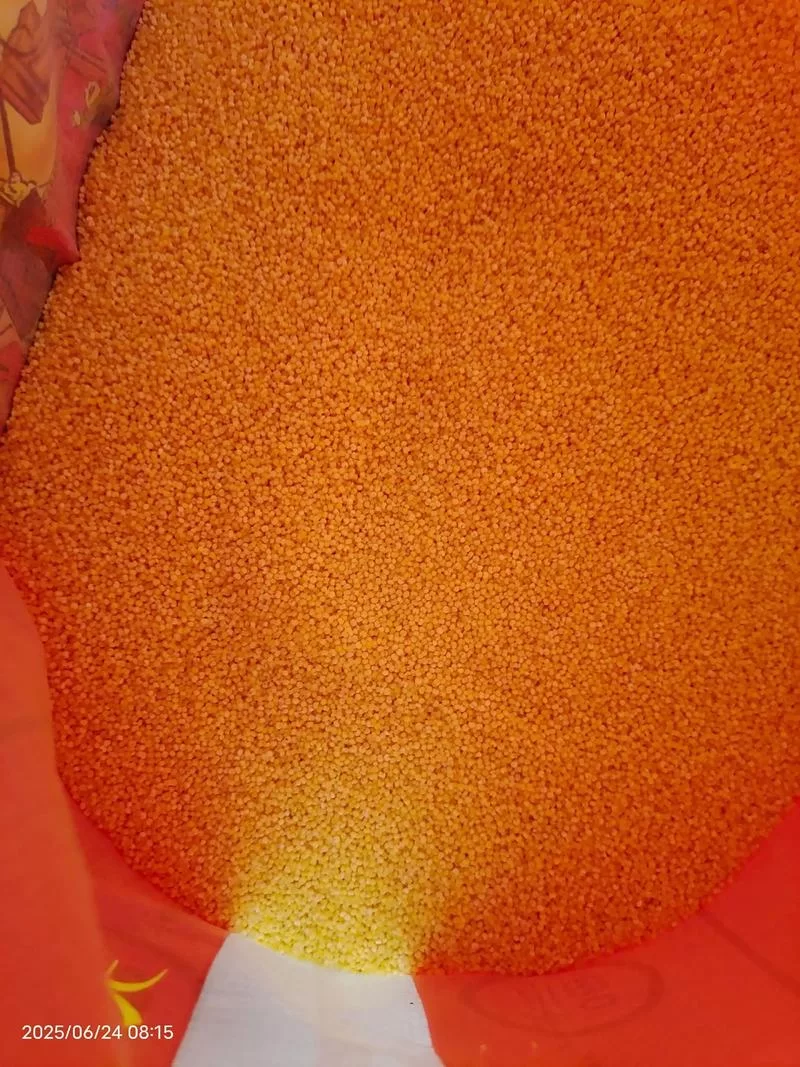 夏日芬芳汉化版下载地址 免费中文版资源分享