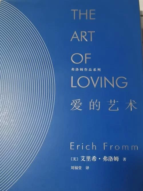 外交与爱的艺术汉化版最新改动详细介绍