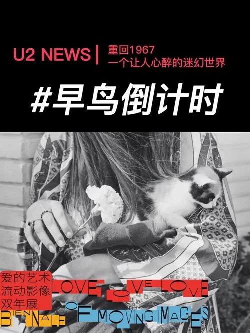 外交与爱的艺术汉化版最新改动详细介绍