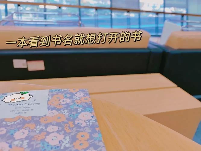 外交与爱的艺术汉化版最新改动详细介绍