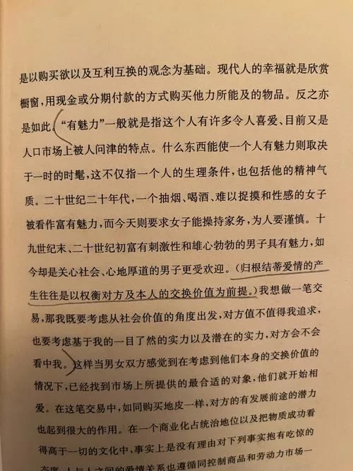 外交与爱的艺术汉化版最新改动详细介绍