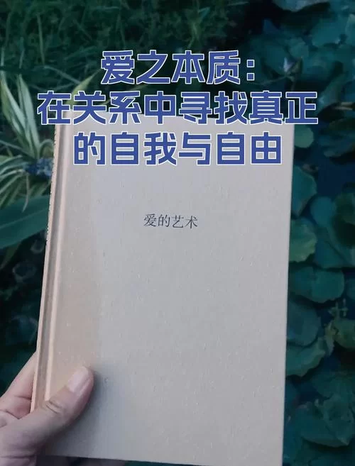 外交与爱的艺术汉化版最新改动详细介绍