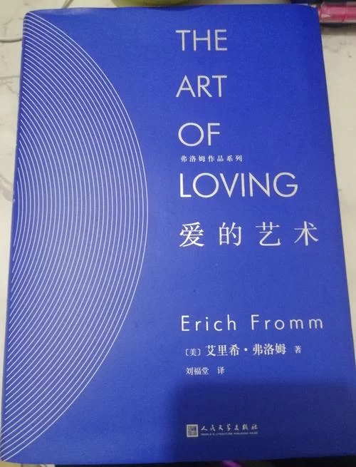 外交与爱的艺术汉化版最新改动详细介绍