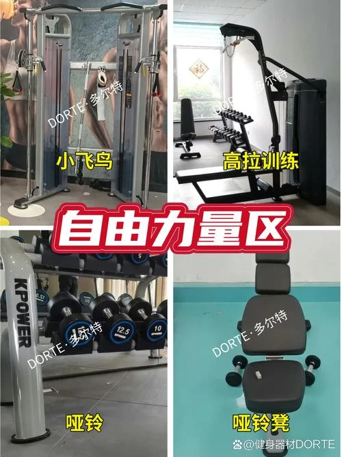 大学篮球巨星安卓汉化版怎么玩 新手快速上手指南