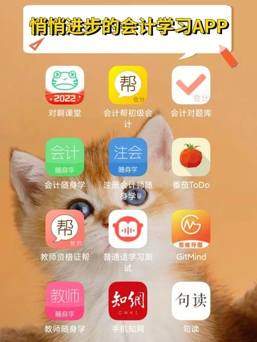 太妃物语游戏攻略分享 高效通关与支线任务完成