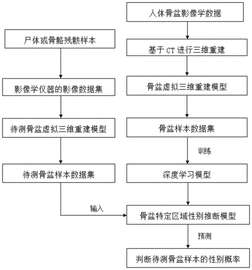 女学生鉴别学下载地址详细步骤与注意事项