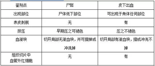 女学生鉴别学下载地址详细步骤与注意事项