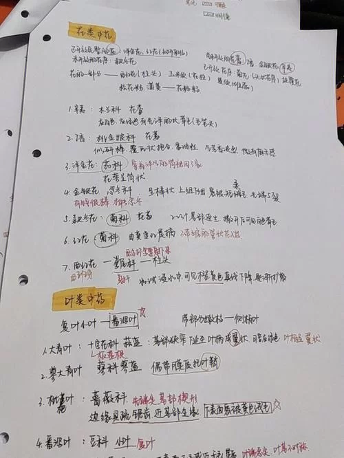 女学生鉴别学更新地址最新链接一键直达