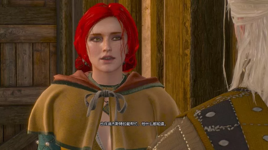 女巫3回归游戏介绍带你体验全新魔法世界
