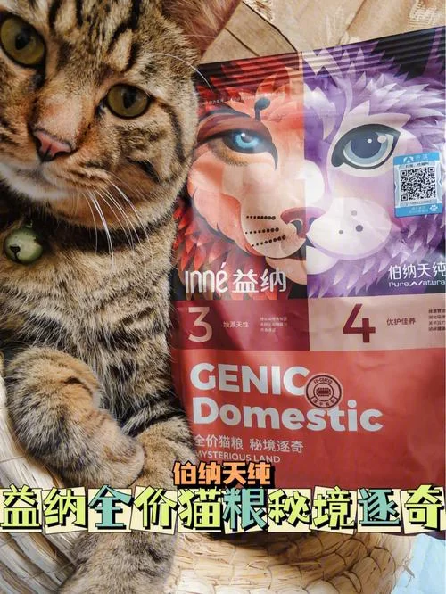 奴役的秘境官方正式版下载最新版完整资源分享
