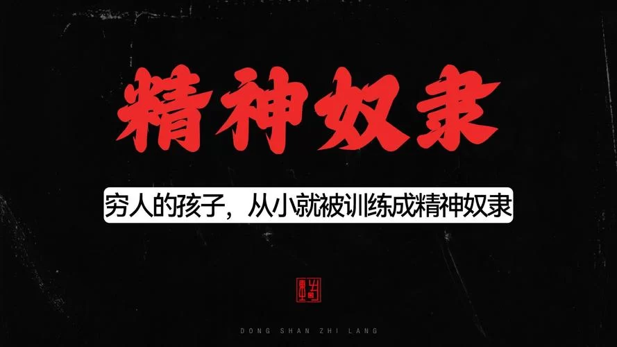 奴隶训练游戏介绍 玩家评价与真实体验分享