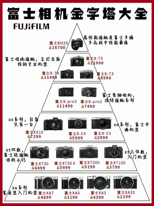 好色的维克多最新版本功能特点全面解析
