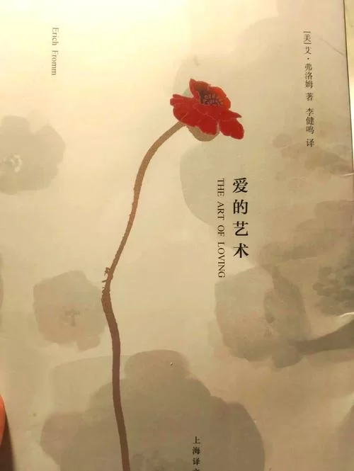 如何在外交与爱的艺术绅士游戏中胜出