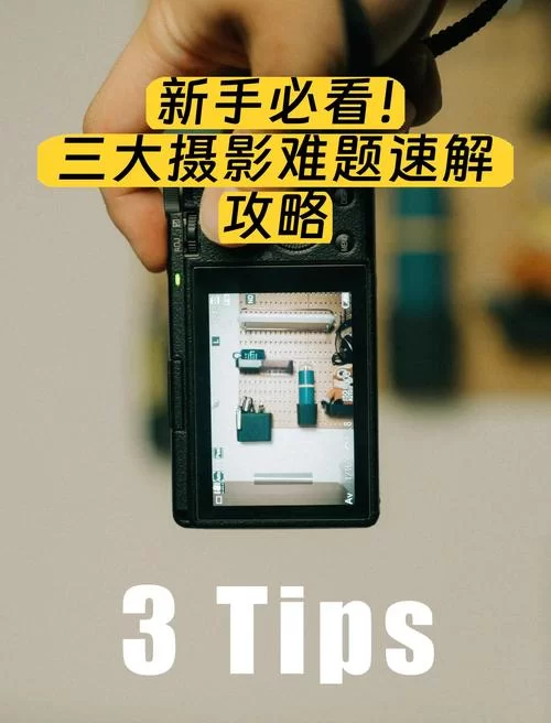 如何解决未来游戏攻略难题 新手必看通关技巧分享