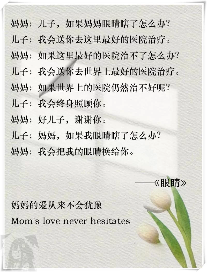 妈妈的爱Plus版本大全盘点那些让人泪目的母爱故事