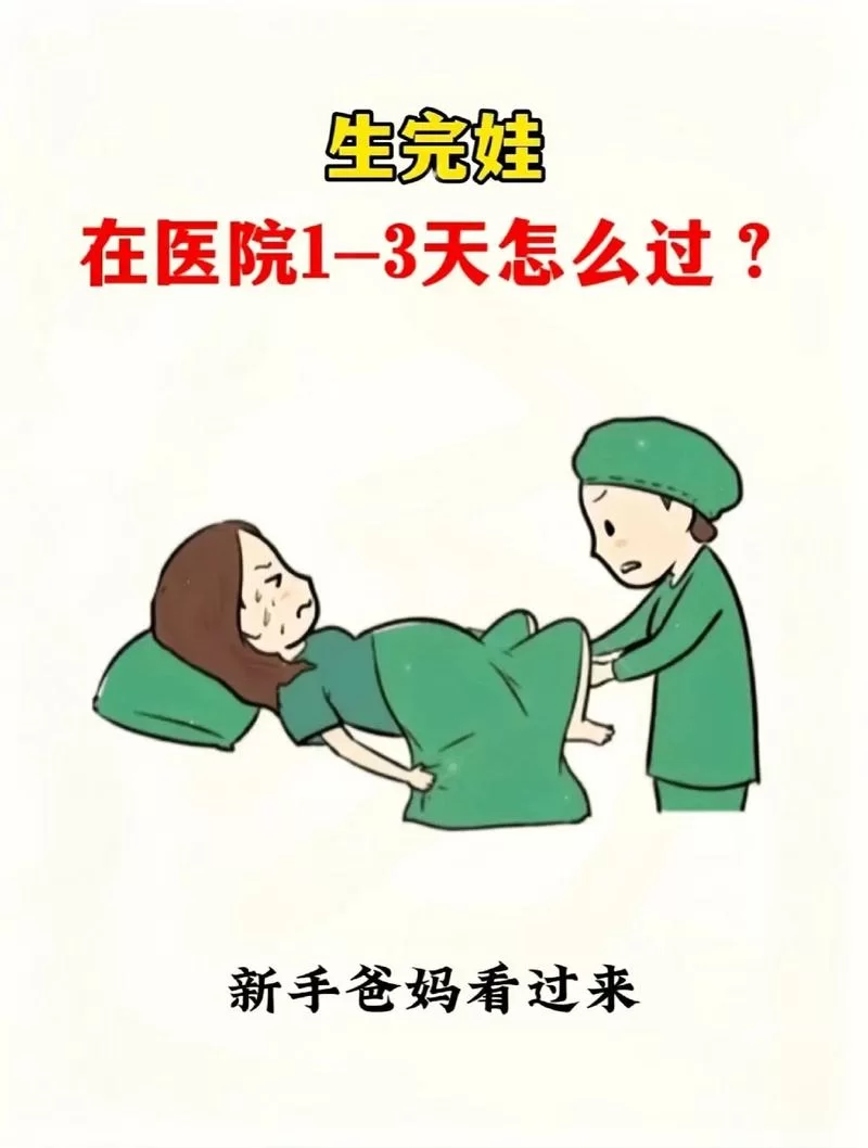 妻子和母亲的粉丝游戏官网攻略大全新手必看