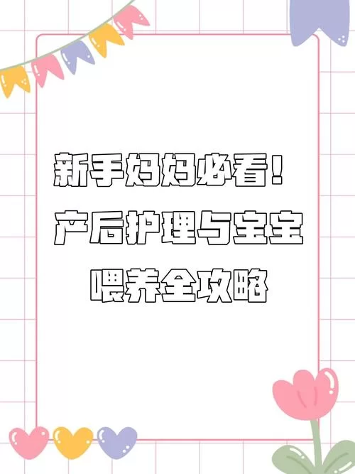 妻子和母亲的粉丝游戏官网攻略大全新手必看