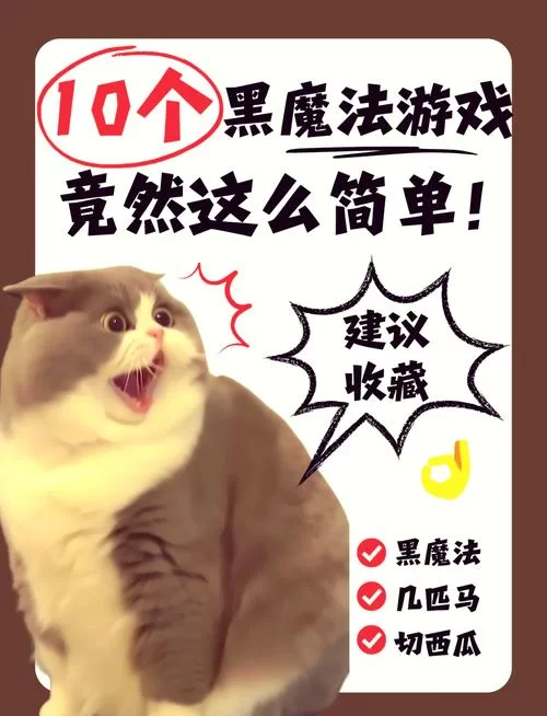 妻子和母亲的粉丝游戏最新玩法大揭秘