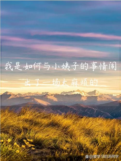 妻子的电话最新版本使用体验怎么样