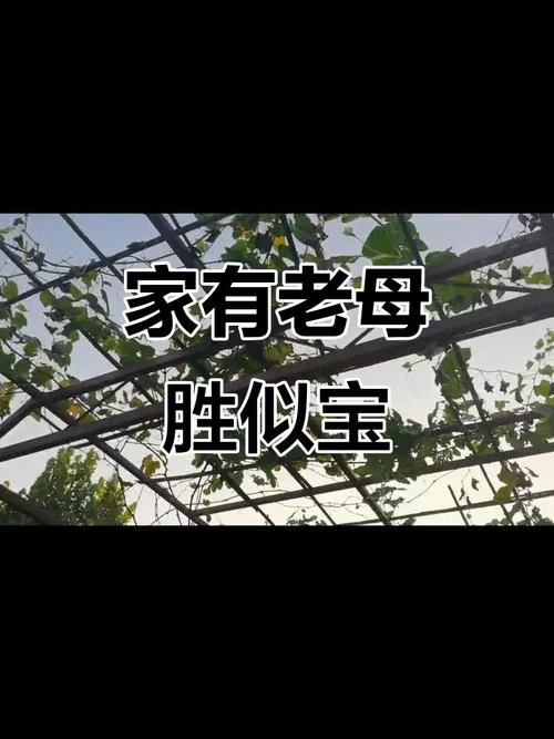 孝顺的妻子游戏在哪下载完整中文版