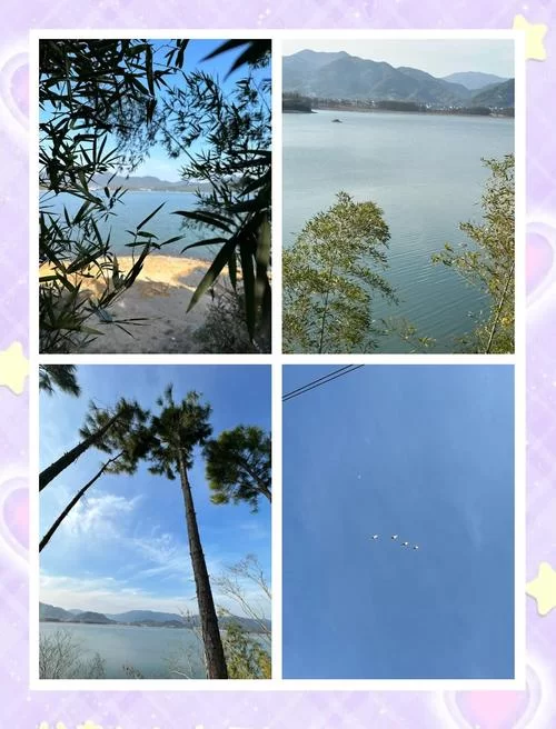 宁静草地官方网站最新优惠活动等你来发现