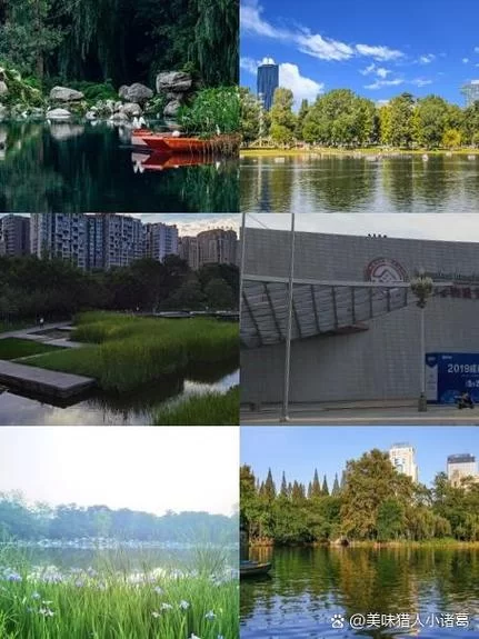 宁静草地官方网站最新优惠活动等你来发现