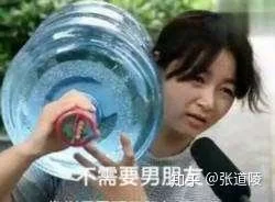 实力单身安卓汉化版评测 真实体验报告