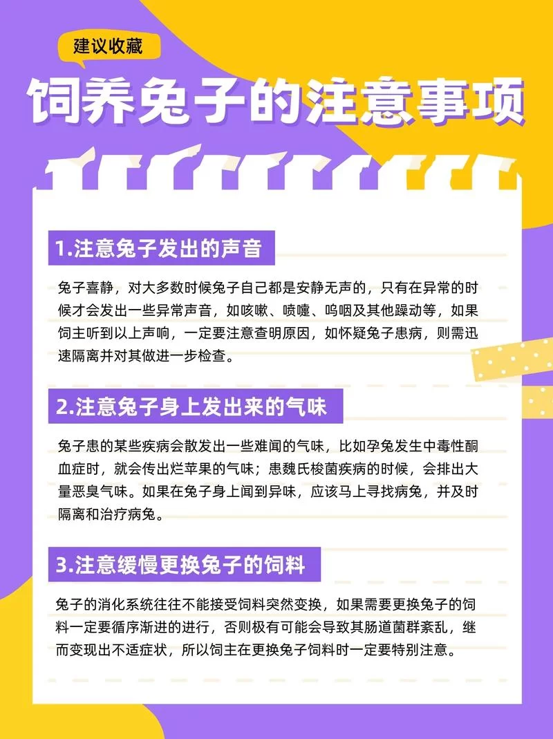 宠物捕捉大师番外绅士游戏新手入门指南