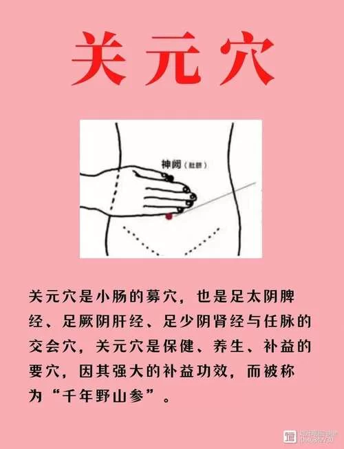 宿命论更新地址在哪里这里告诉你准确位置
