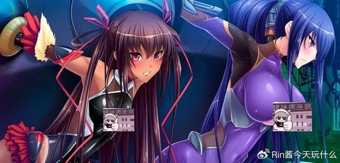 对魔忍雪风安卓汉化版评测 中文剧情全解锁体验 对魔忍雪风安卓汉化版评测 中文剧情全解锁体验