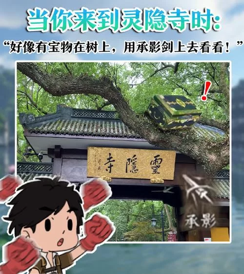 寻找夏日的宝物更新地址一键获取轻松观看